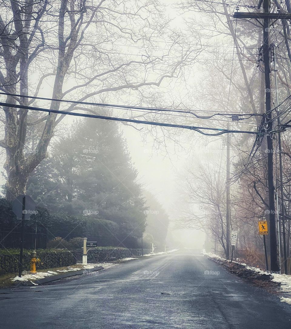 Foggy morning on a New England road 