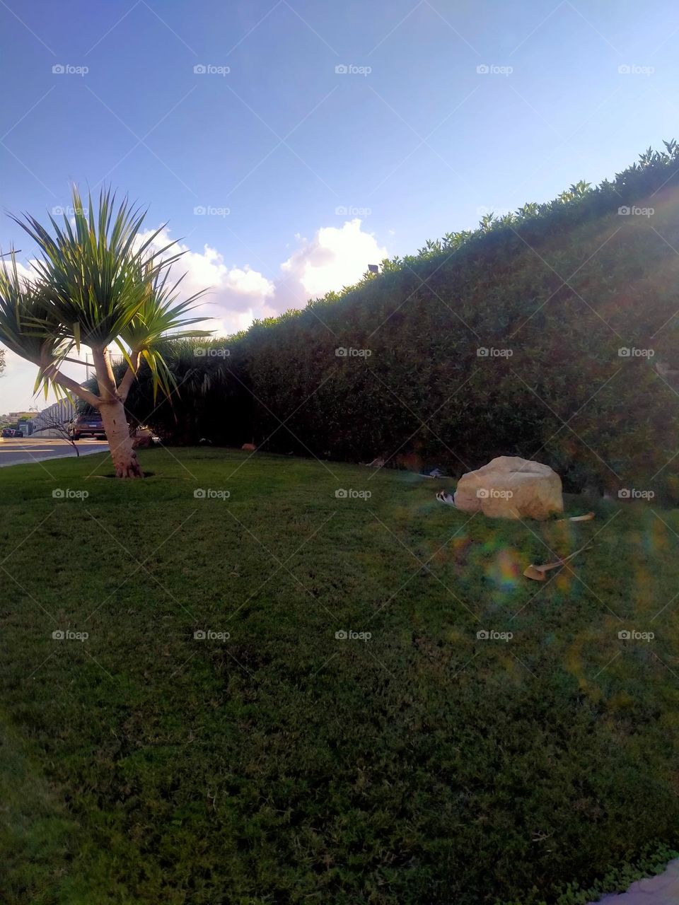 A village on the northern coast⁰