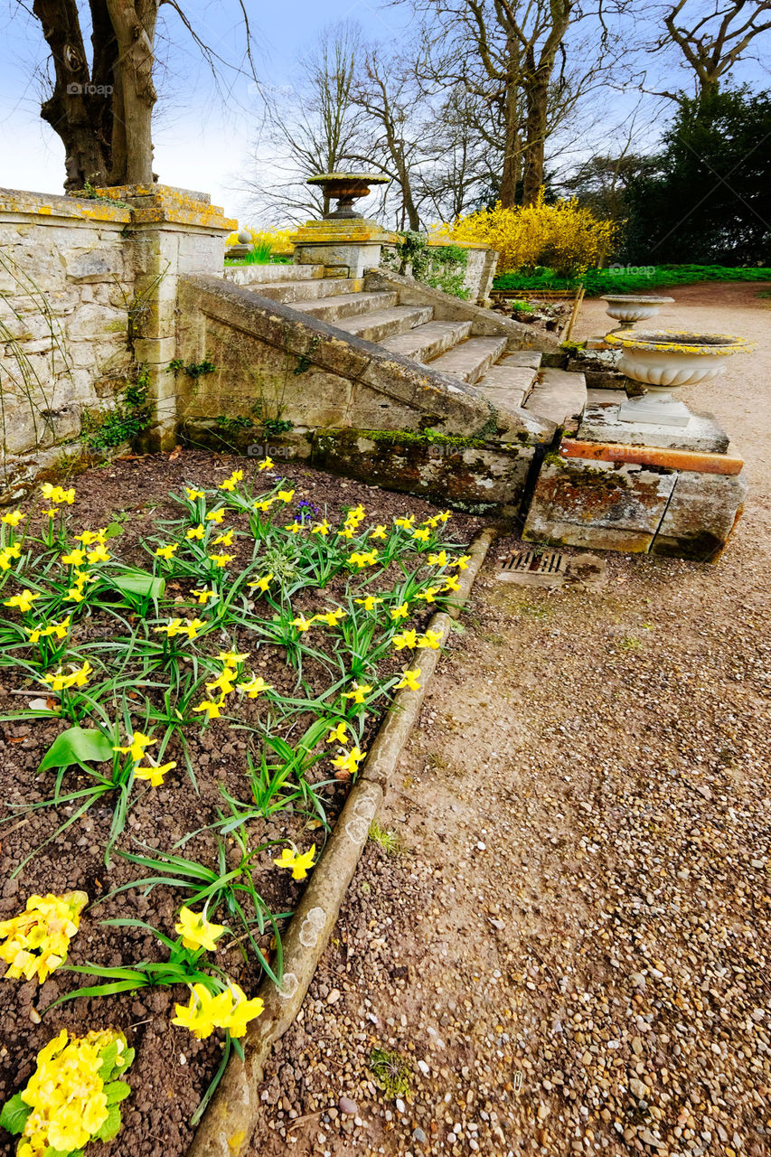 Garden. Stately home