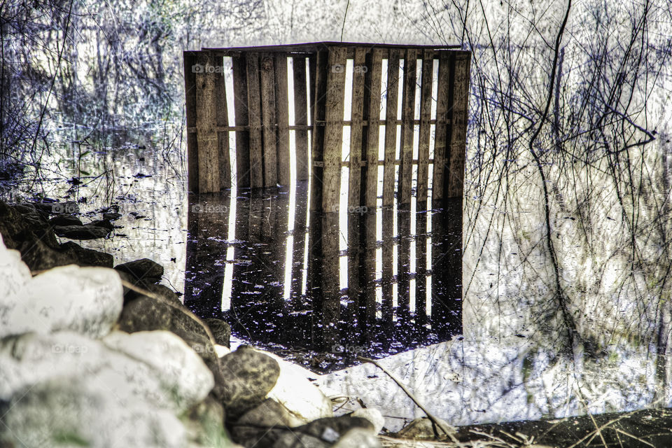 One Side Twice. Two barking hound dogs approached me under this backroad overpass in Georgia. I hear a sharp whistle and they disappear.