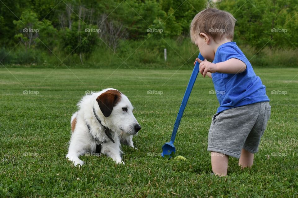 Cute toddler boy playing with his terrier hound mixed breed rescue dog 
