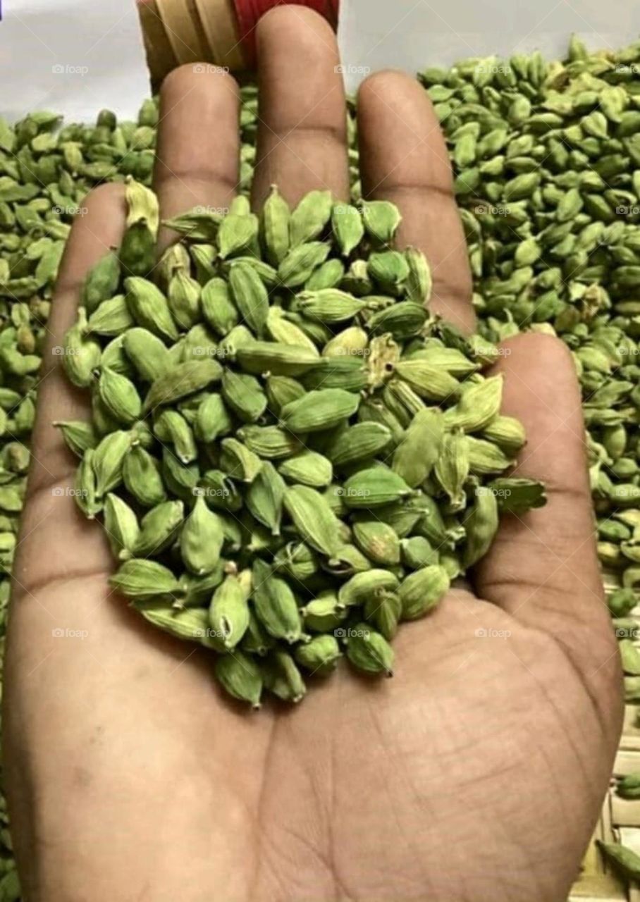 Cardamom