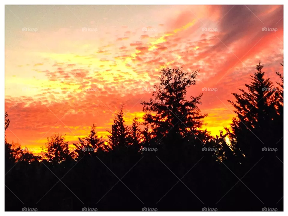 Sunset #4