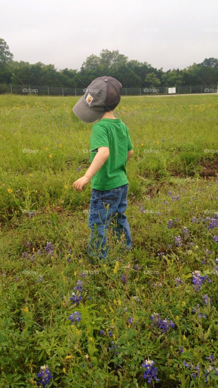 Little boy in field of wildflowers. A little boy plays in field of Texas bluebonnets 