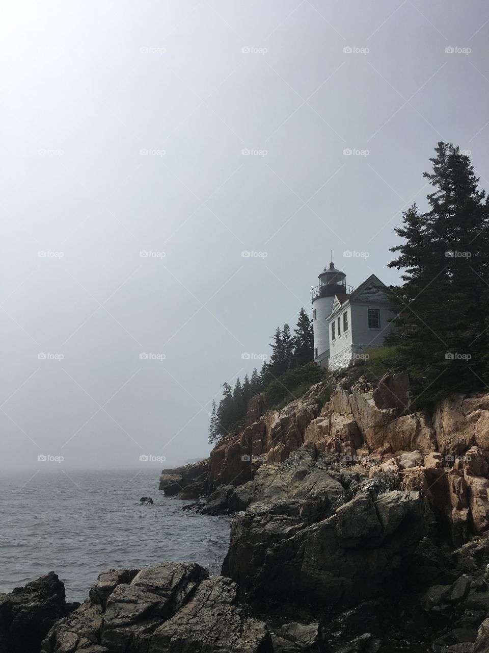 Lighthouse view in Acadia, Maine. It was a foggy morning, but it was absolutely beautiful! And there was a little breeze as well.