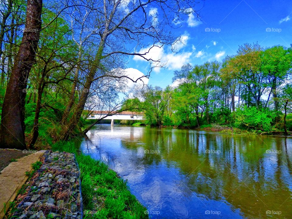 Spring at the old covered bridge. 