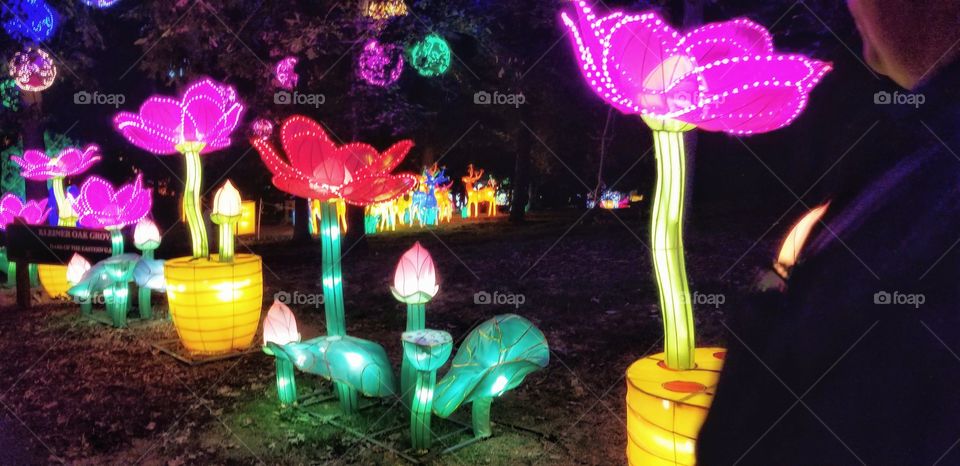 ILLUMINATION of Lights