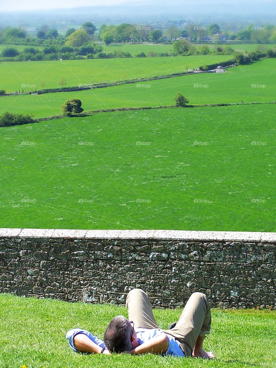 Afternoon Nap in Irish Countryside 