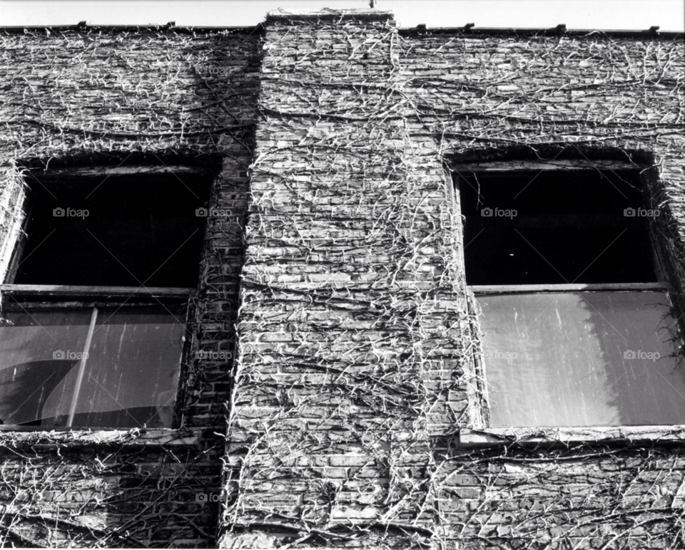 city urban window building by squishypie