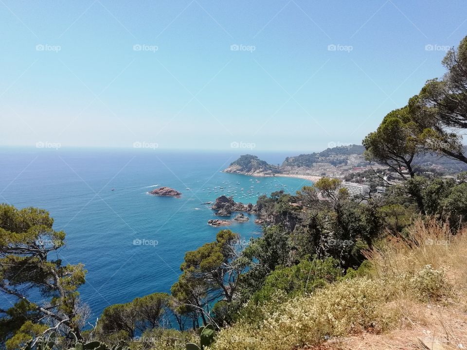 Tossa de mar