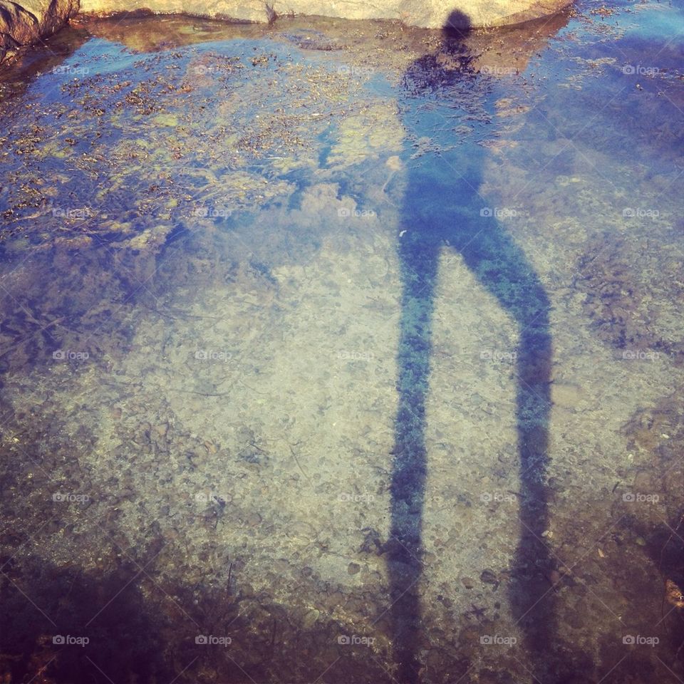 Shaddow with long legs