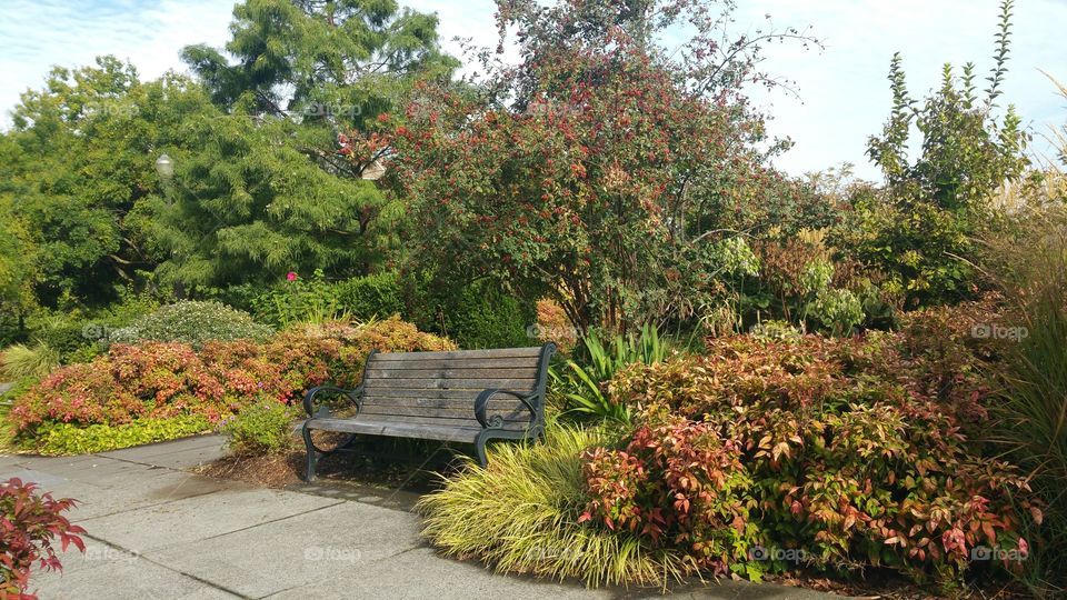Bench in Park Portland Oregon