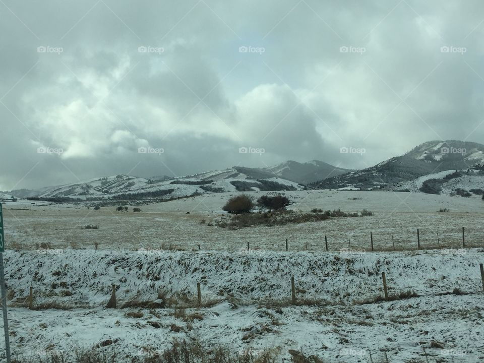 Snowy landscape 