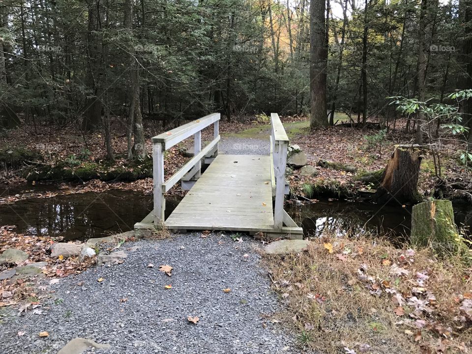 Old bridge along a nature trail 