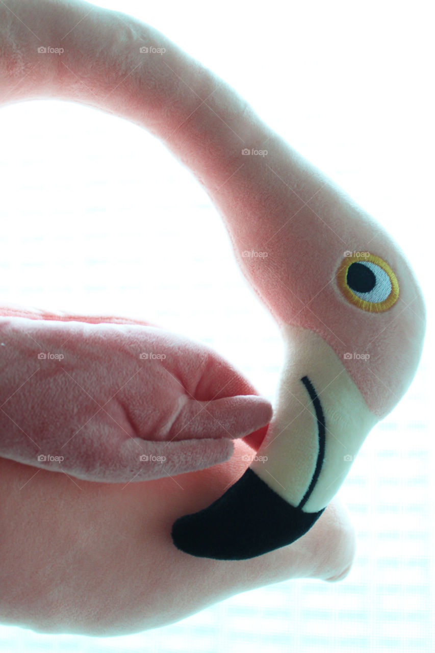 Pink plush toy--flamingo