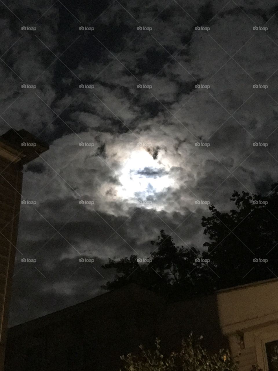 Beautiful moon lite night sky 