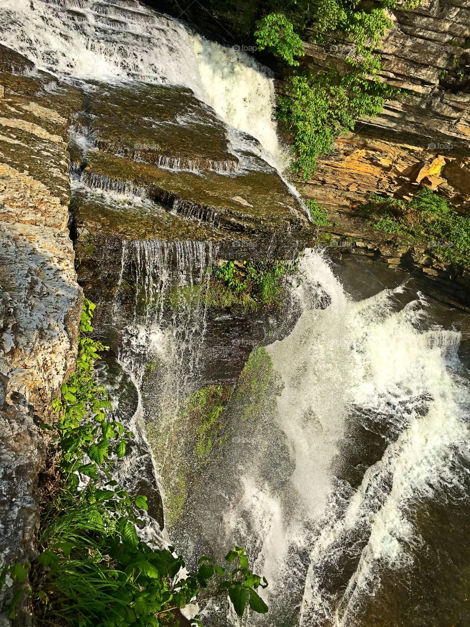 Cummins falls 