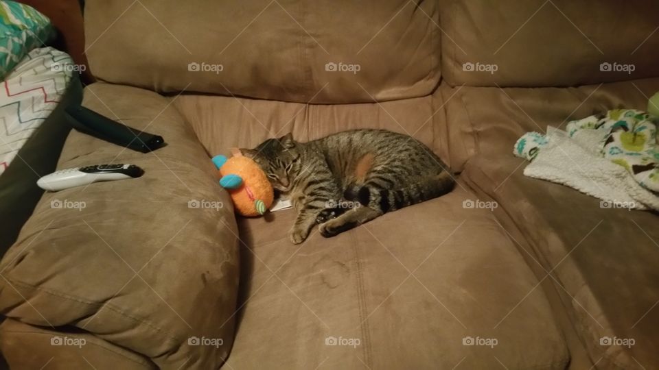 I am just gonna use this toy as my pillow 