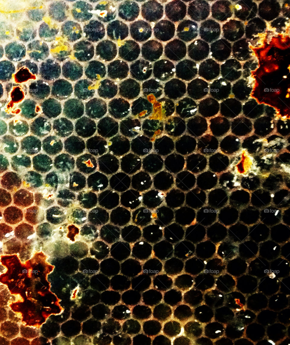 Hexagonal pattern of a honeybee hive