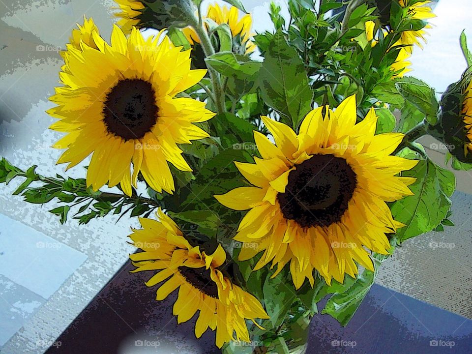 Sunflowers