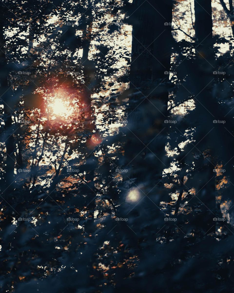 sunshine finally appearing after a long dark night.