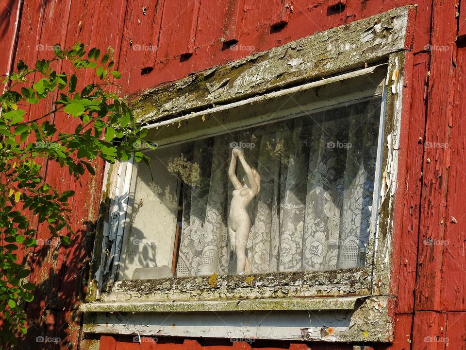 Woman in the window