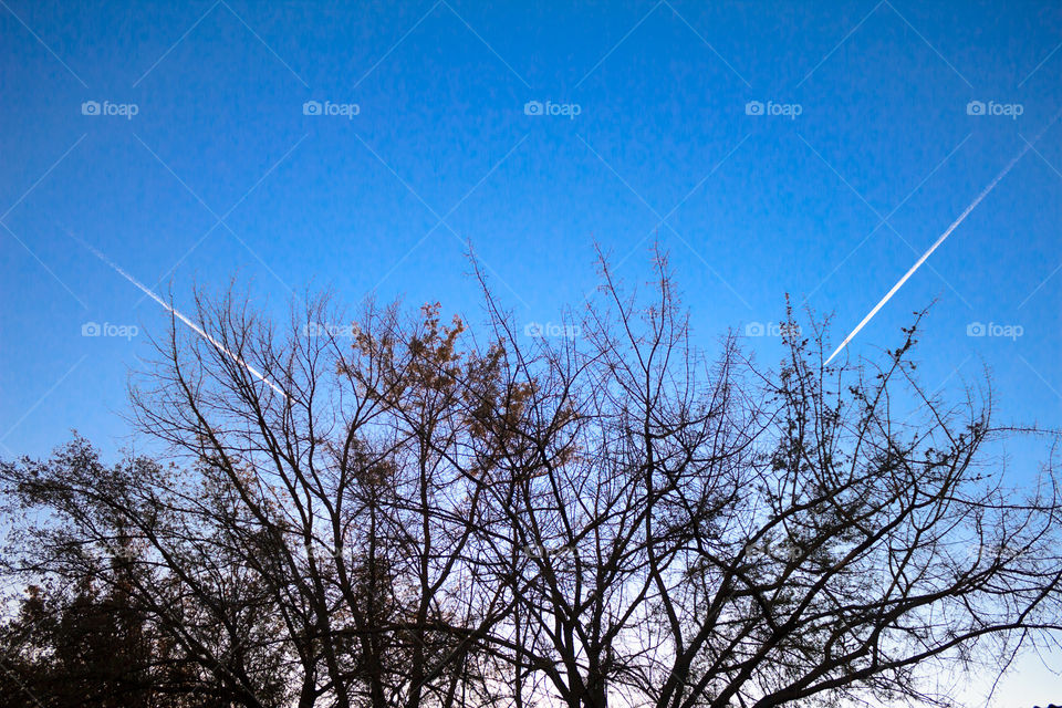 two aircraft against a background of blue sky and silhouettes of trees