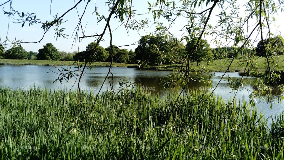 Summer in the Spring