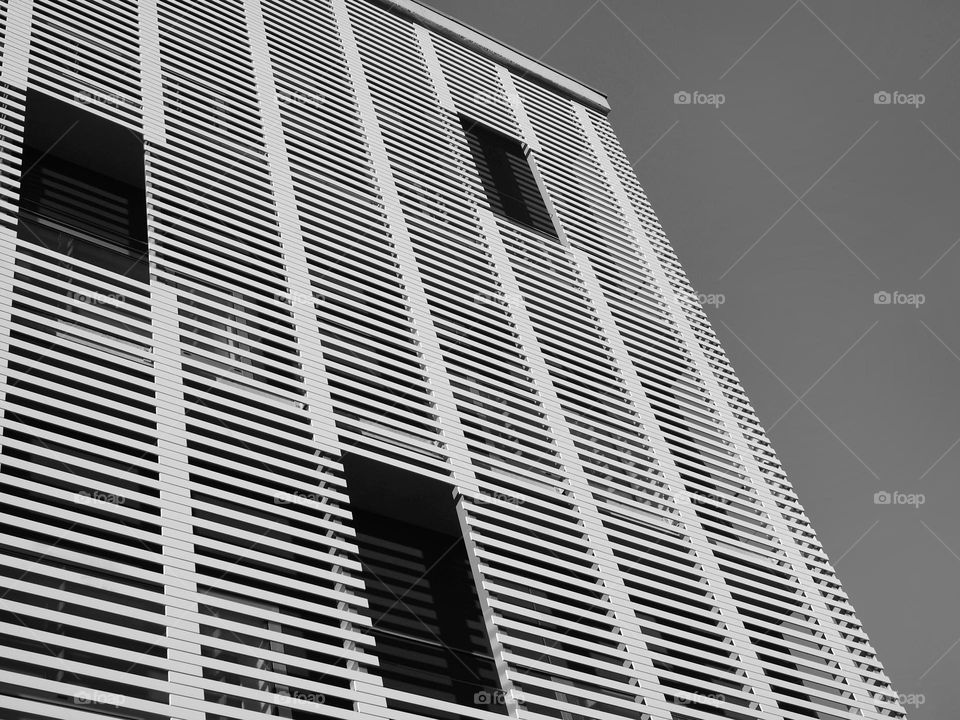 Black and White: building