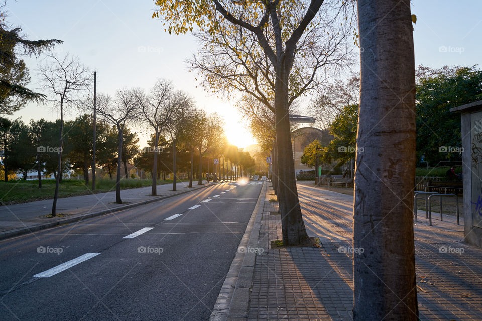 Sunset perspective