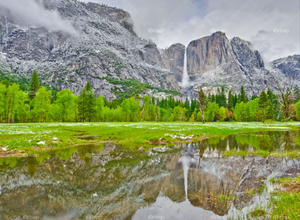 snow landscape field trees by joeair