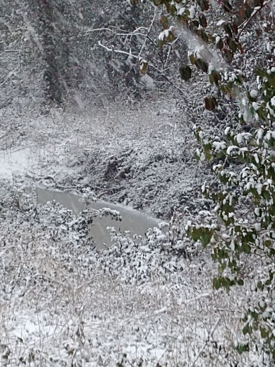 snow creek