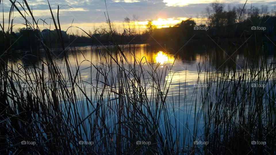 sunset