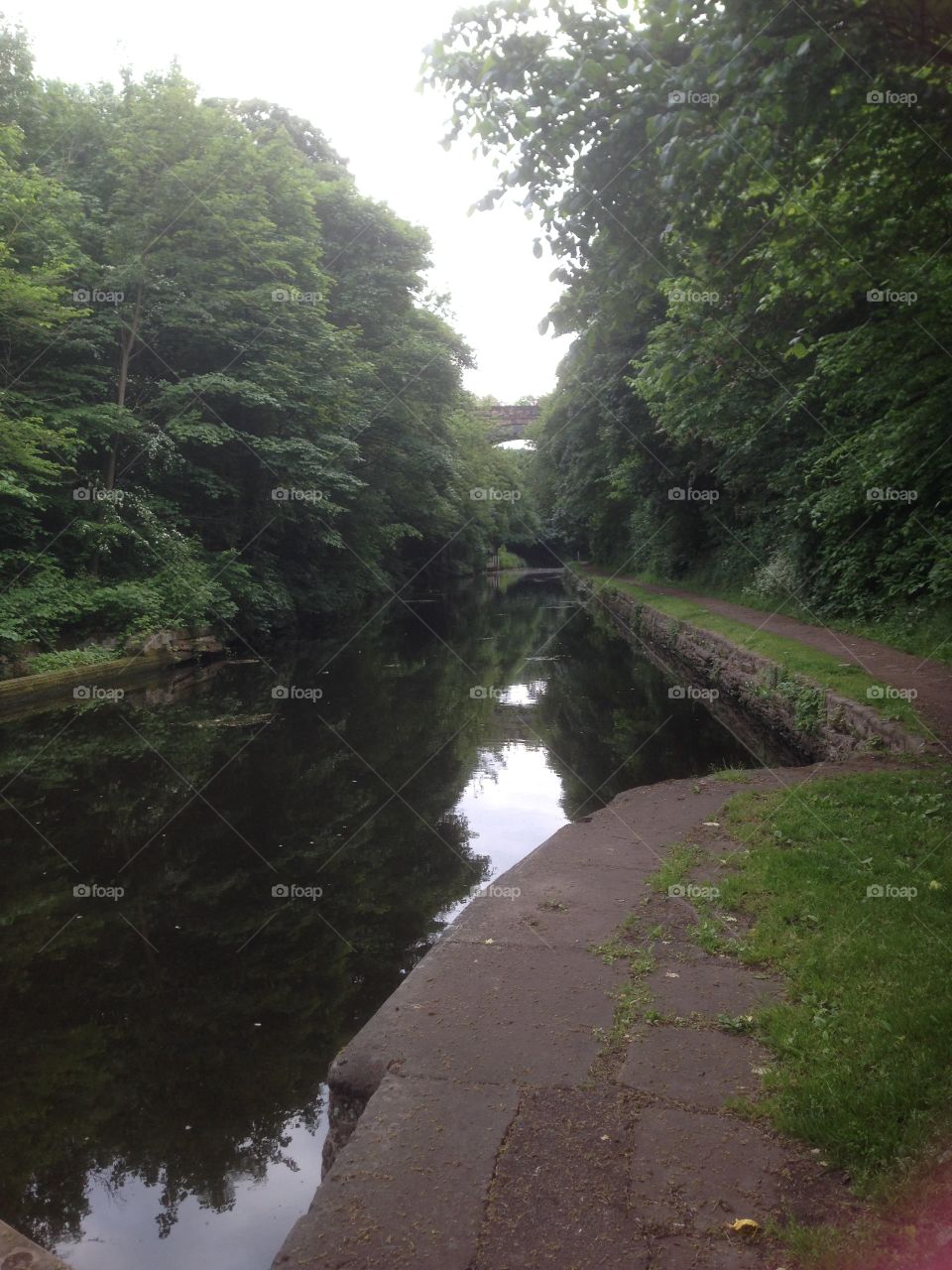 Evening by the canal