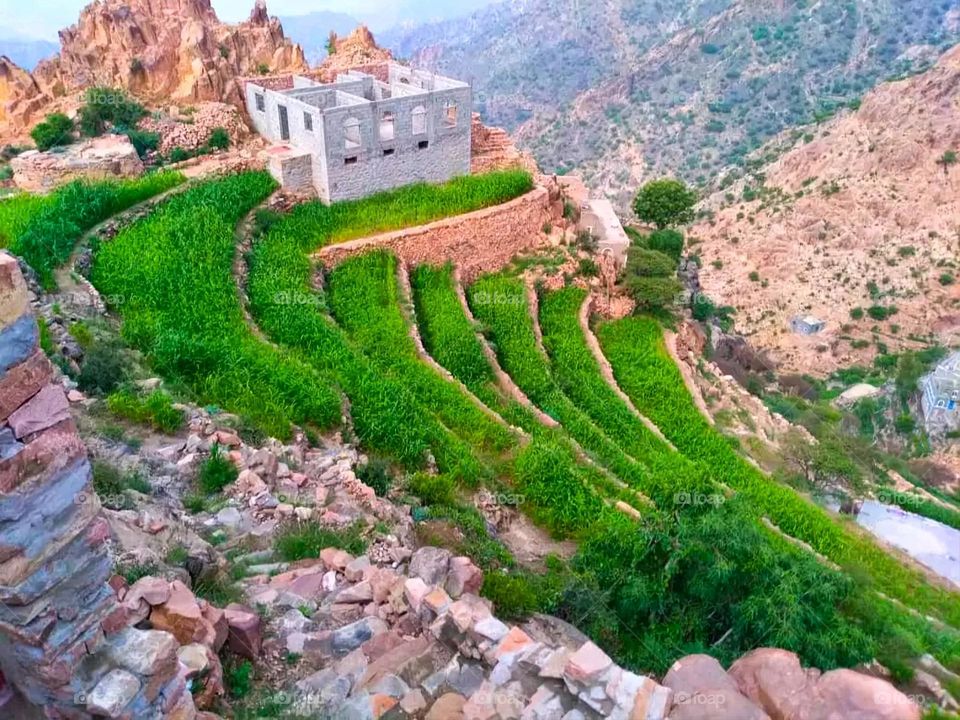 A very beautiful picture, and there is no better picture than it. There is no better picture of green herbs and colorful, red and white roses than it. Glory be to God, the natural and picturesque view, and there is no more wonderful picture than it.