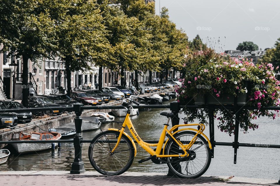 Beautiful Yellow Bicycle