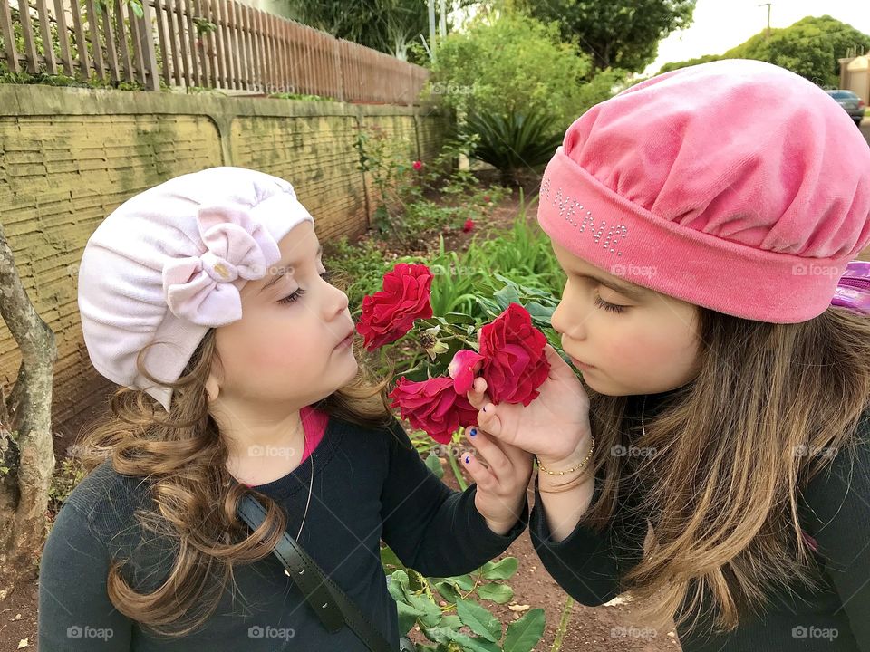 Most beautiful flowers in my garden