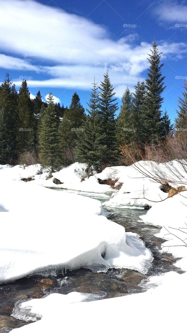 Colorado Stream