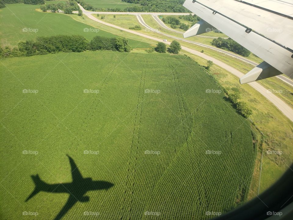 Airplane Shadow Over Green Field