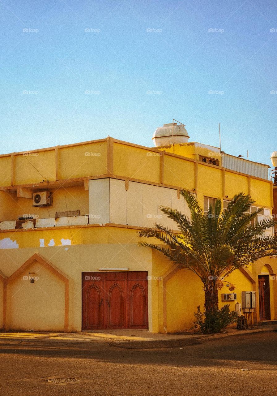 An ancient house and a palm tree.