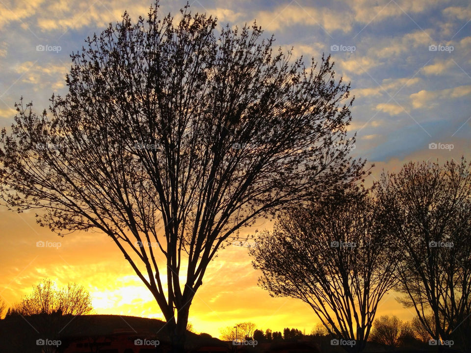 sunset clouds trees sunrise by robin724