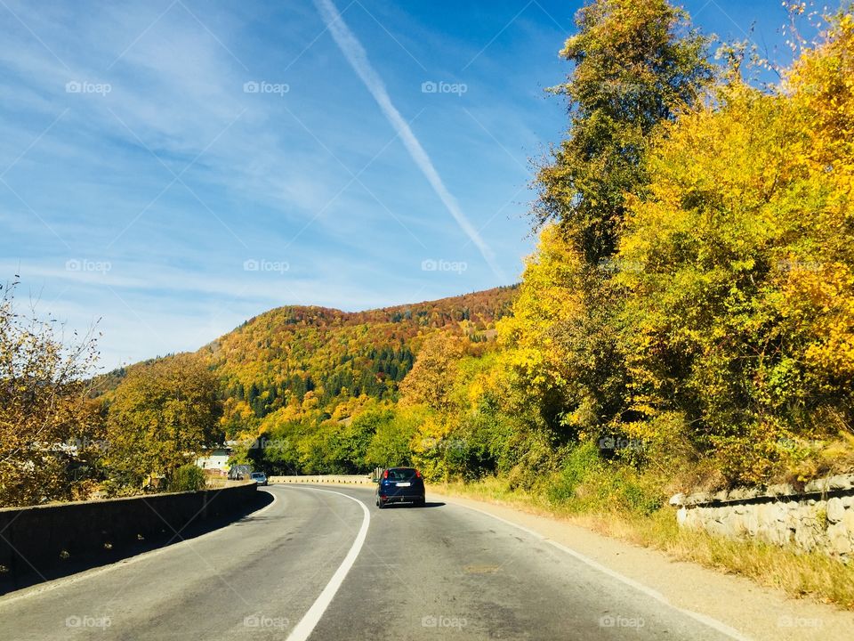 Car driving on the road surrounded by forest in autumn