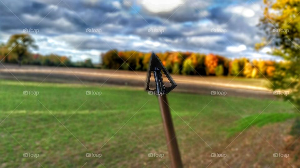broadhead in fall colors