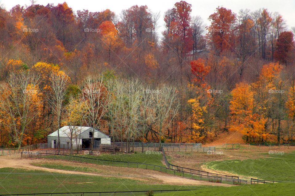 Autumn Horse Farm