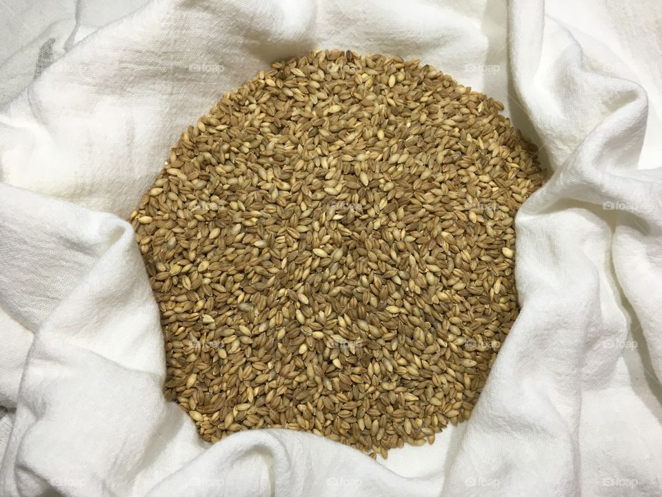 Sack of barley
