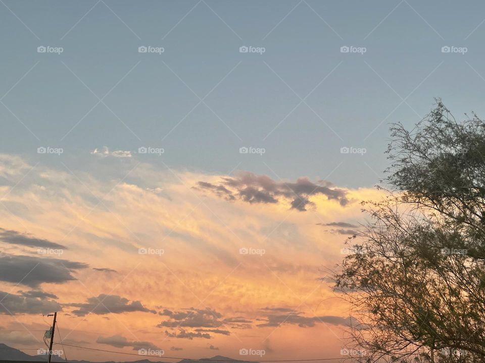 A photo of a cloudy orange sky with a tree to the right. 
