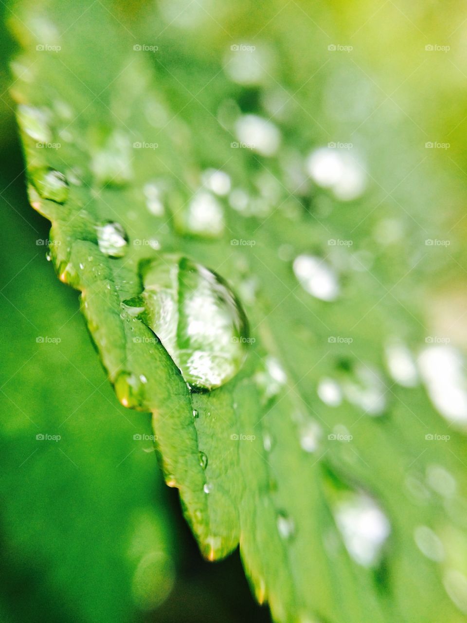 Droplets 