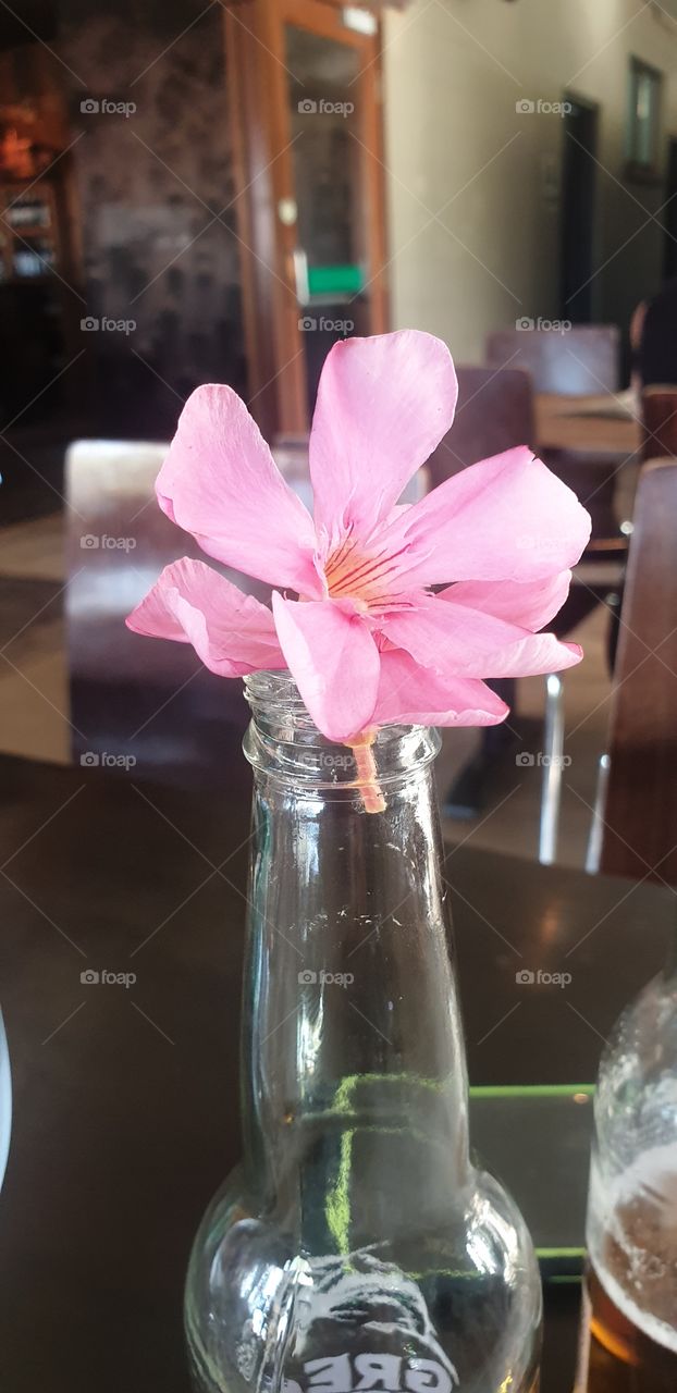 drinks with a flower