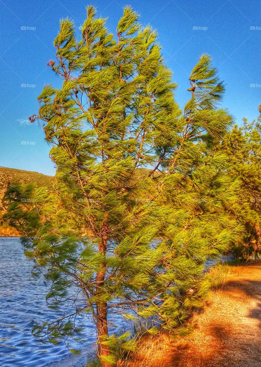 Windy day in September!