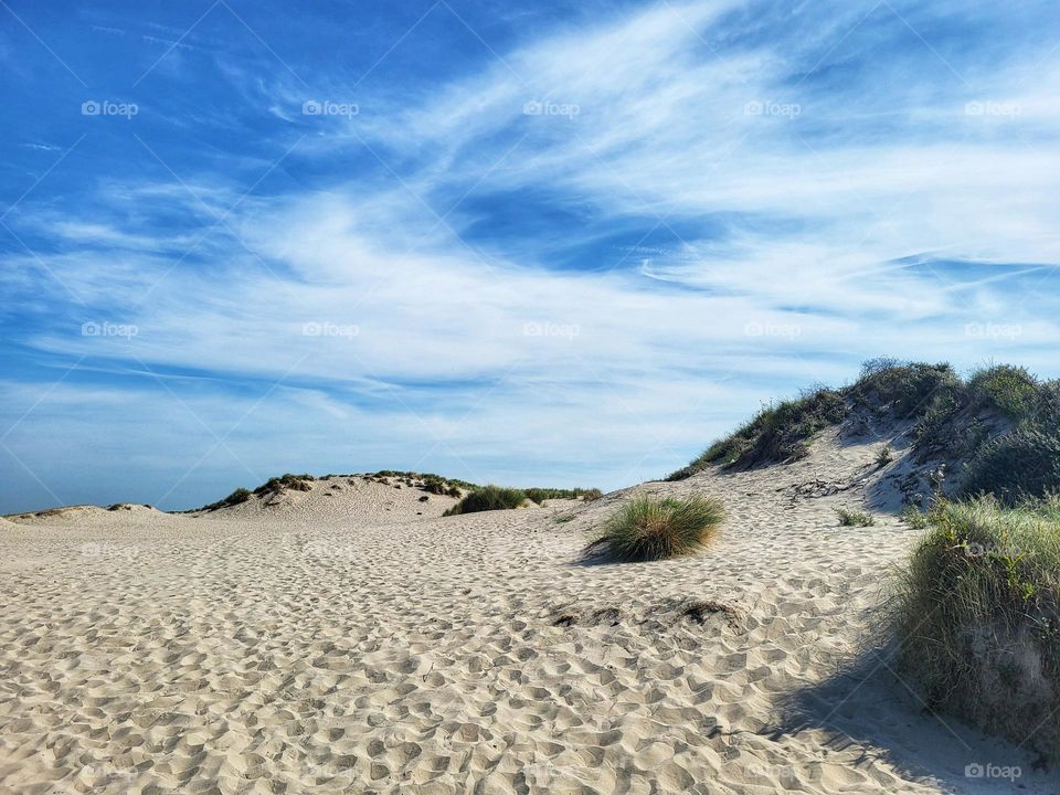 The beach in Hoek van Holland, the Netherlands